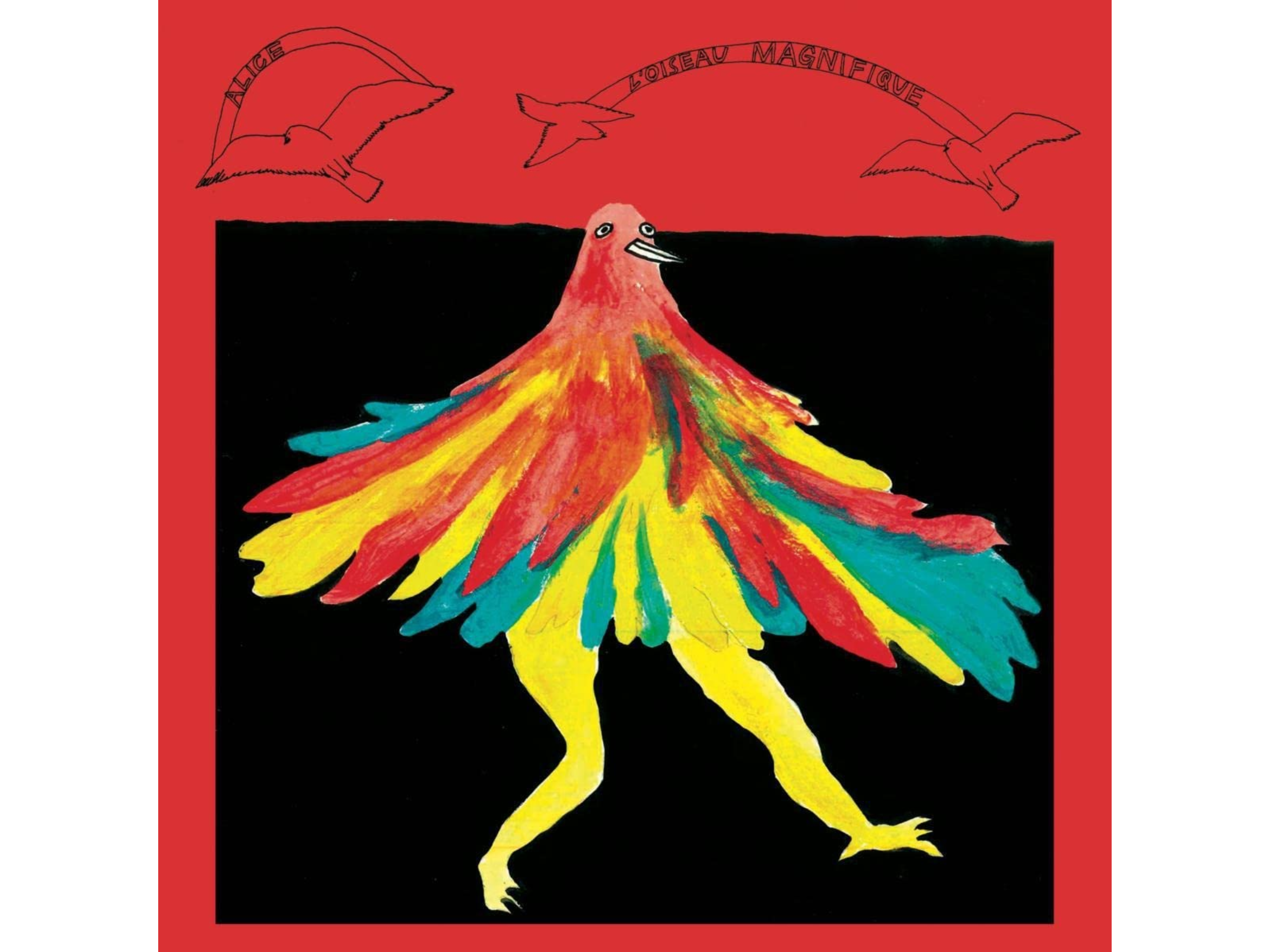 L’oiseau magnifique card