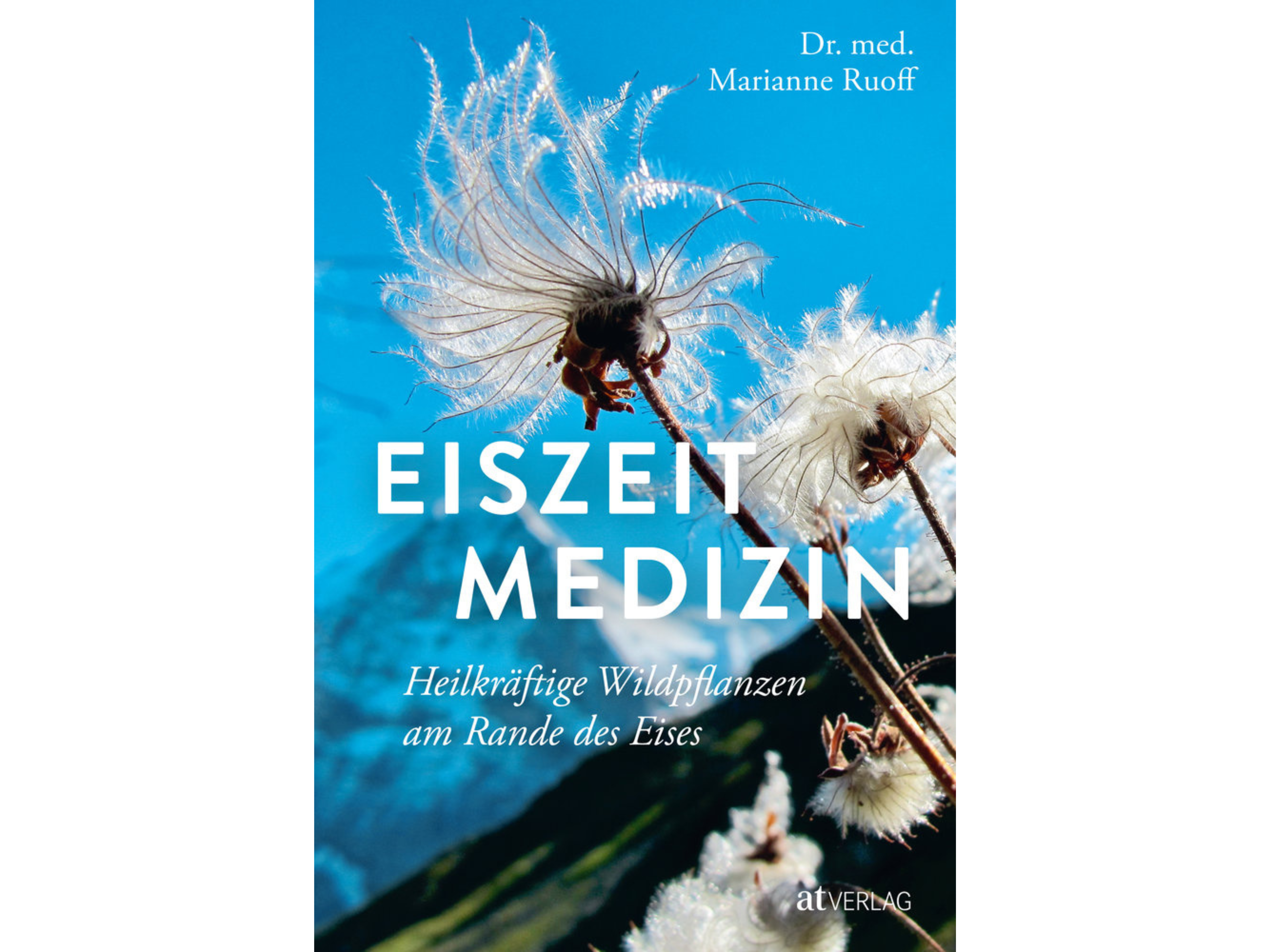 Eiszeitmedizin card