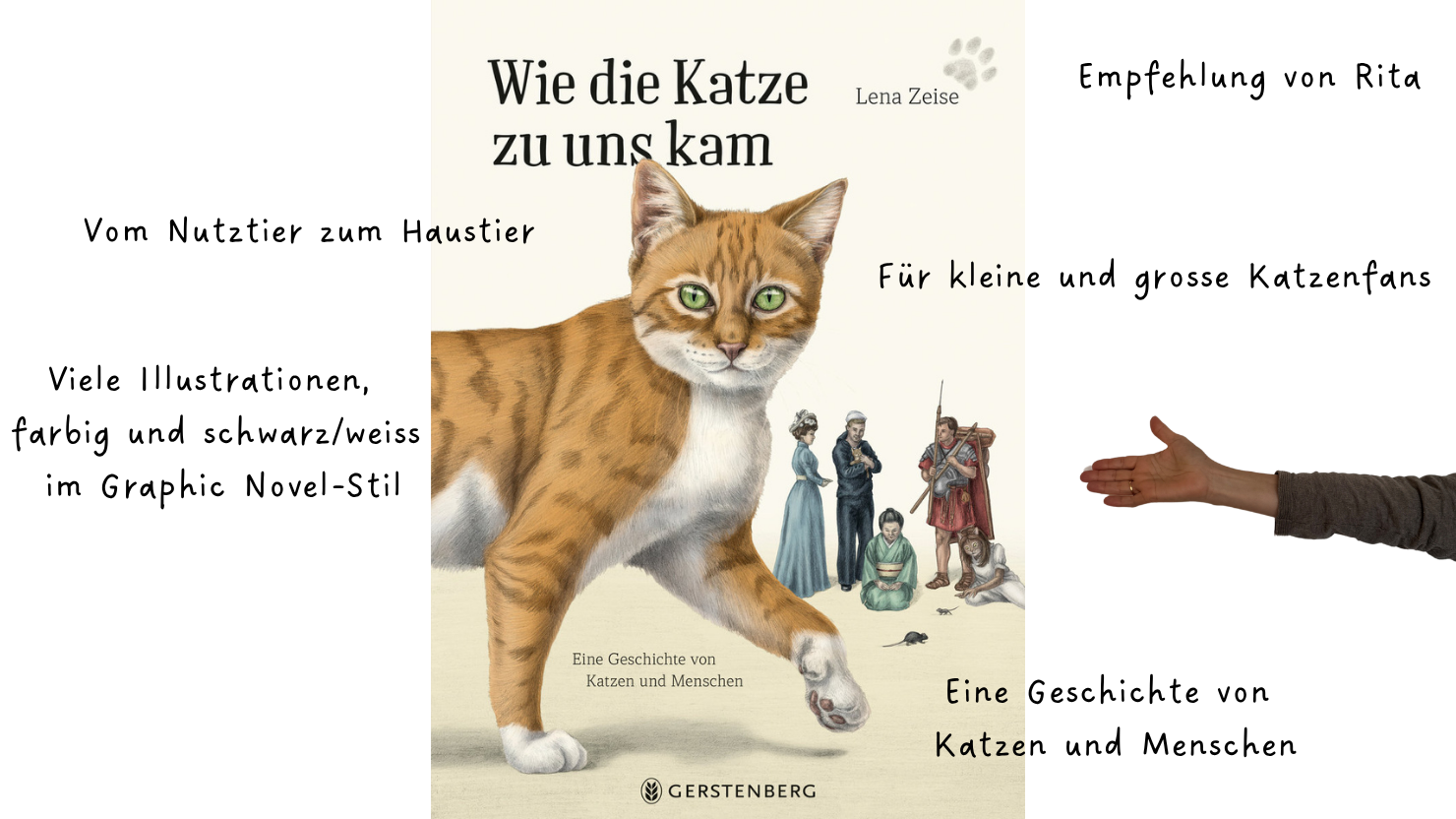 Wie die Katze zu uns kam slider