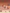 Nuit du conte header