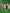 Natur im Text Witschi header