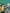 Helpdesk header
