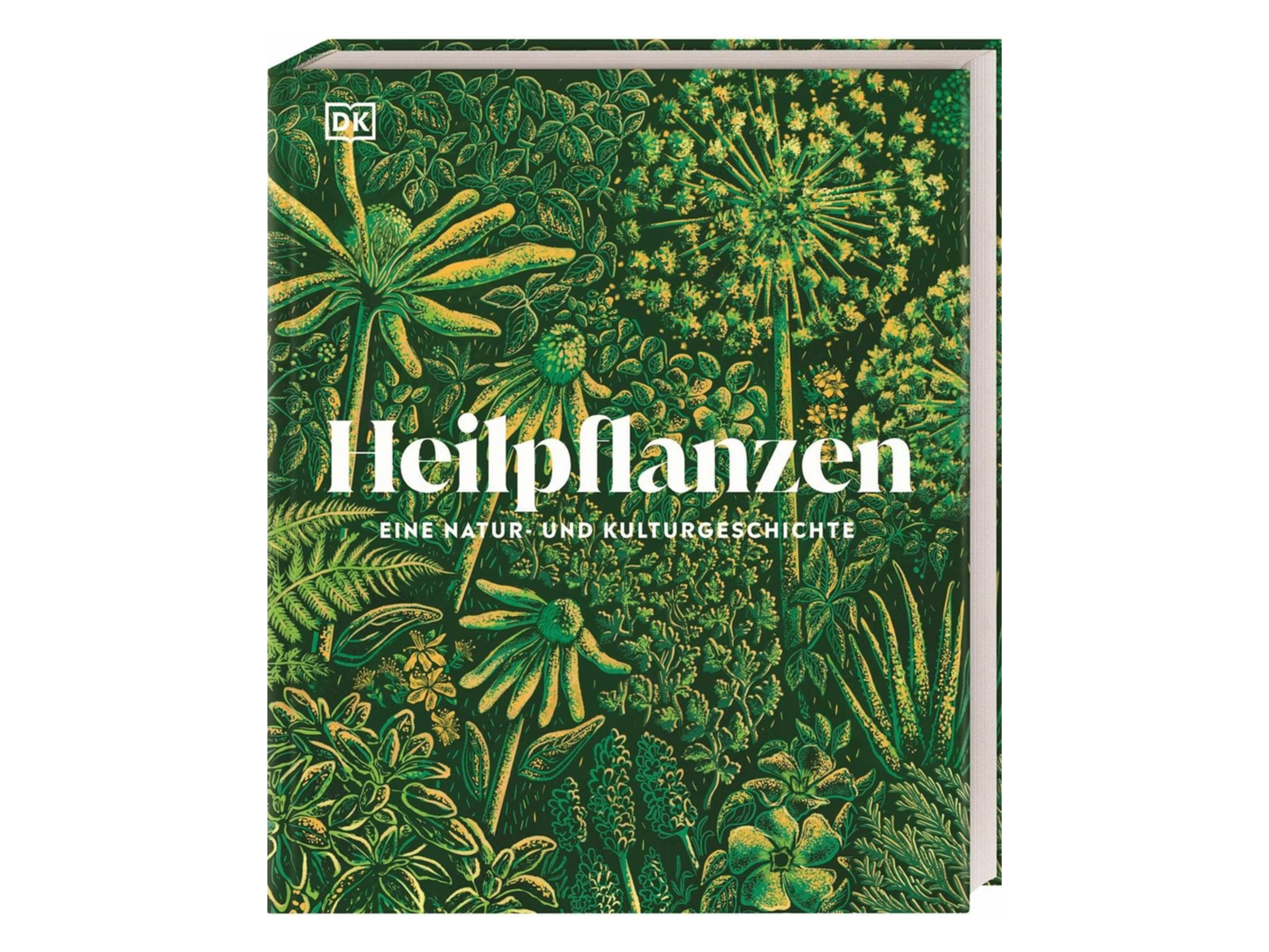 Heilpflanzen card